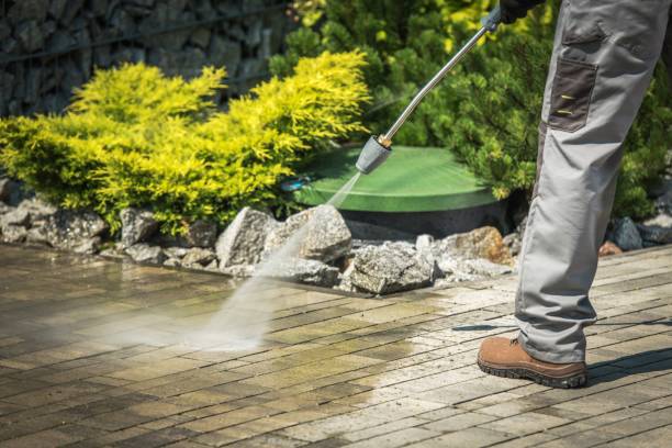 Best Boat and Dock Cleaning  in Watertown, NY