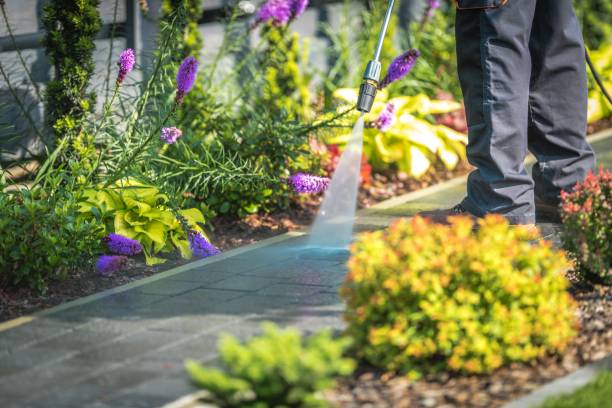 Best Driveway Pressure Washing  in Watertown, NY